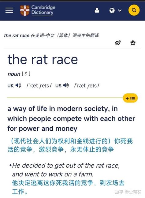 ratxx|RAT中文(简体)翻译：剑桥词典 .